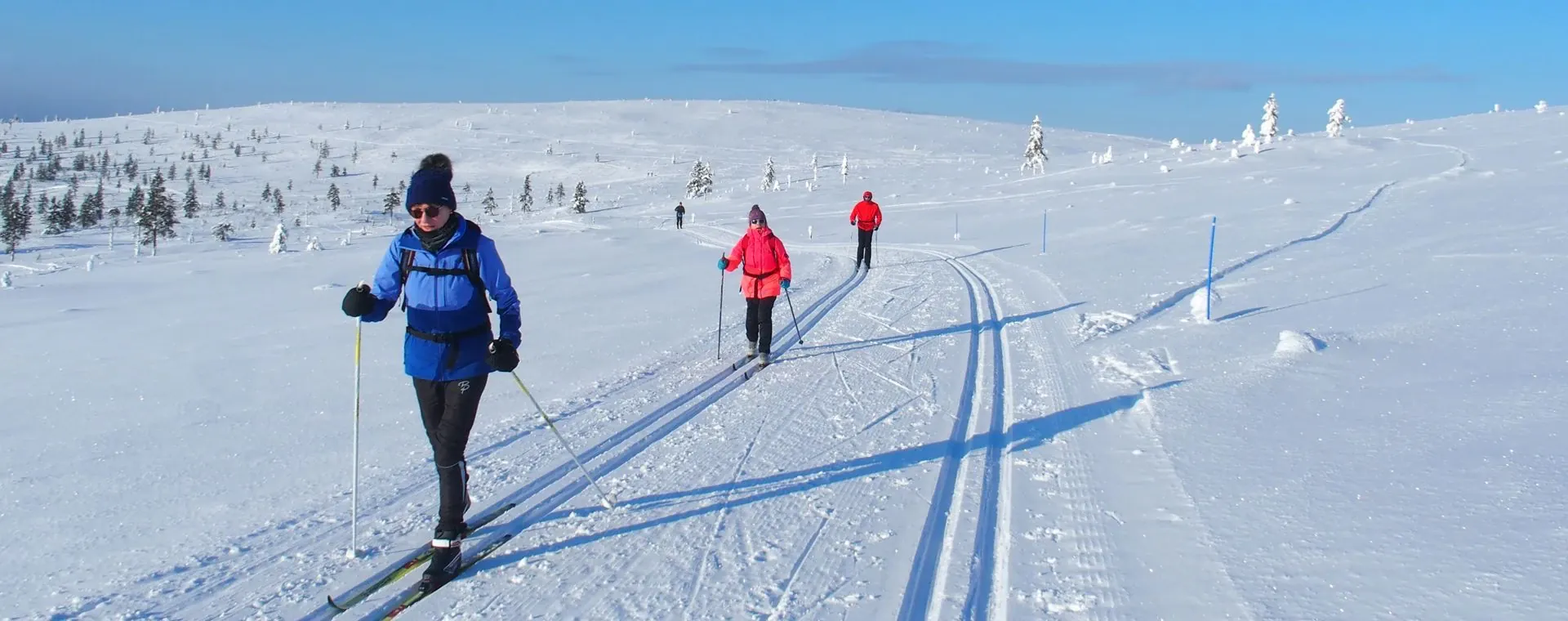 Skieurs Fond Laponie Pres Kiilopaa - Laponie - Finlande
