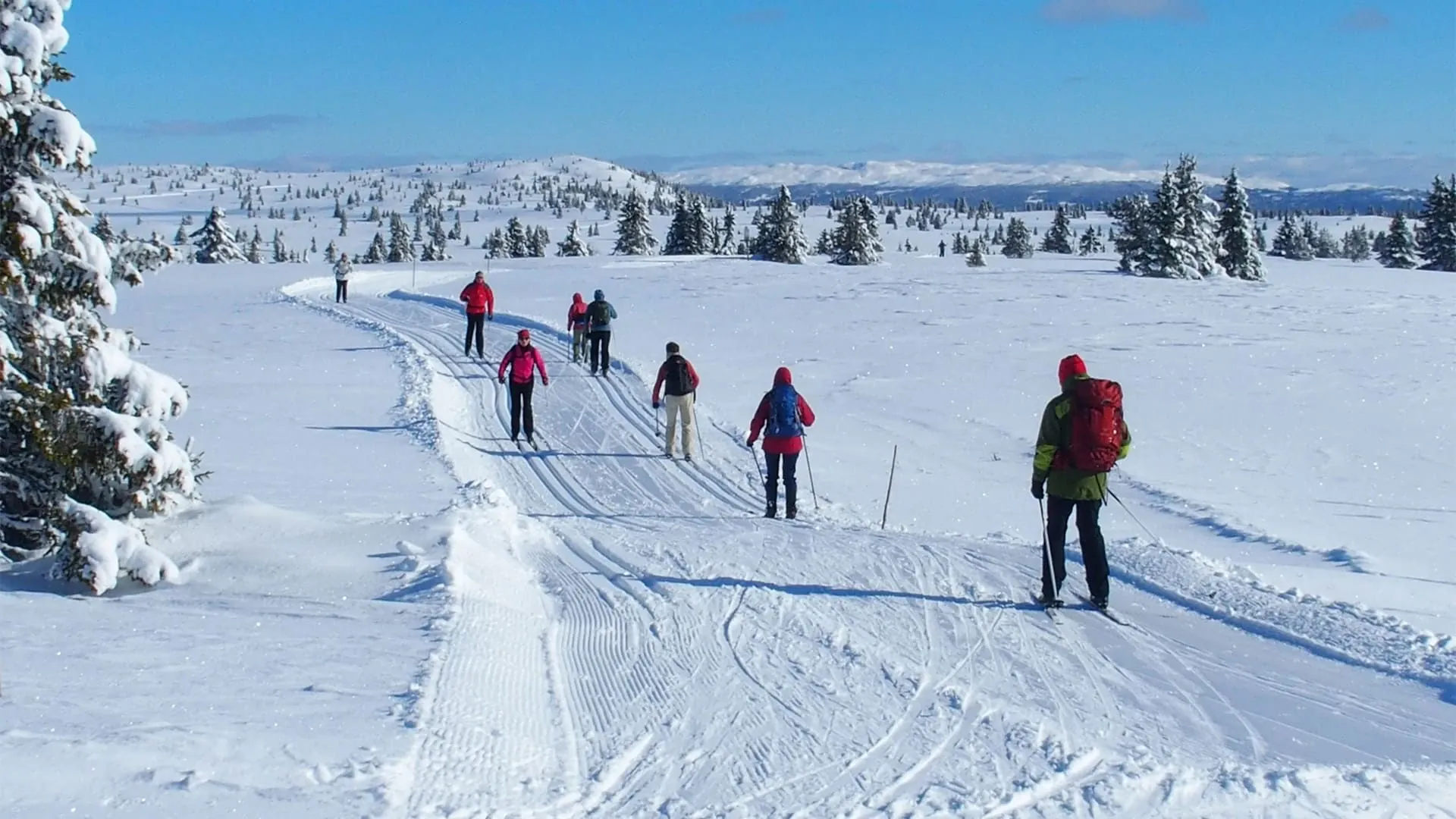 Skieurs Golsfjellet Norvege - Norvège
