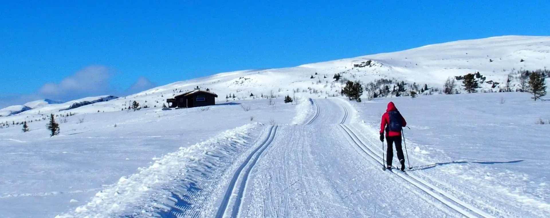 Skieuse Fond Venabu Scandinavie Norvege - Norvège
