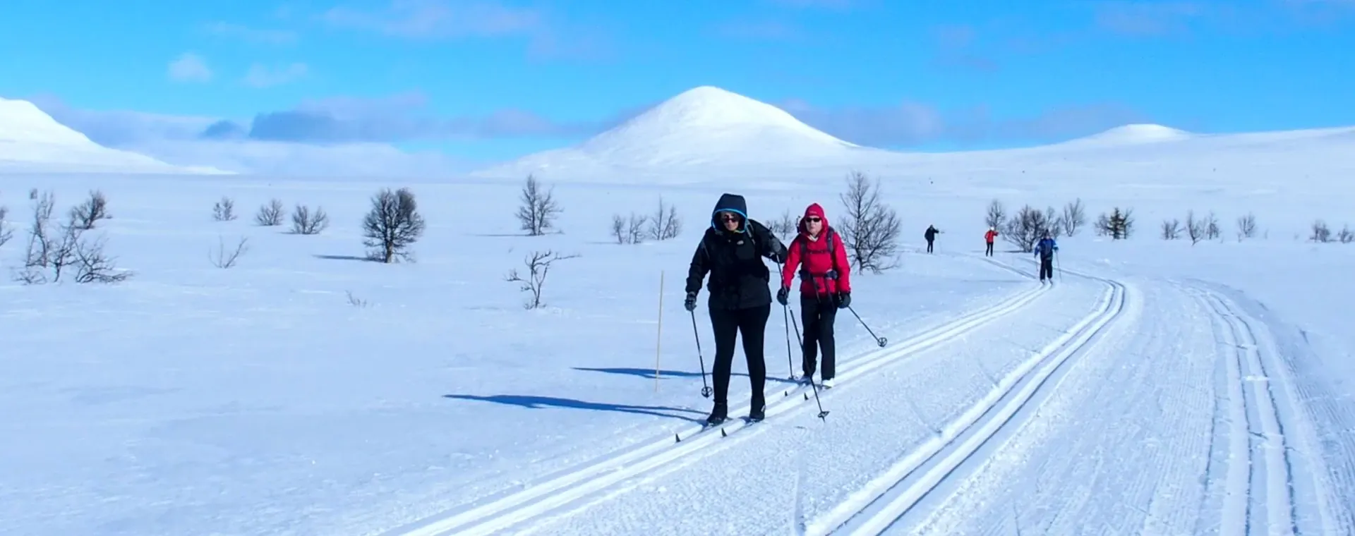 Ski De Fond Venabu Norvege - Norvège