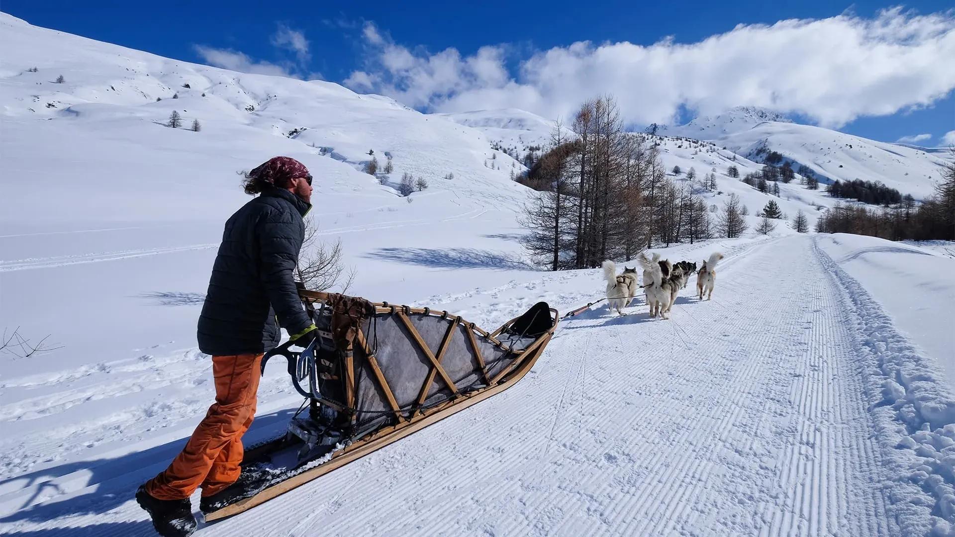 Chien de traîneau sur lac gelé - Norvège