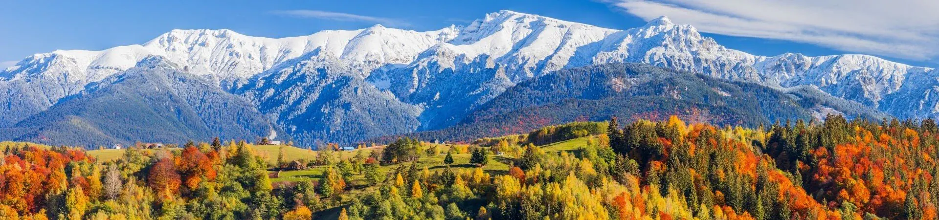 Montagnes enneigees et forets d'automne - Carpates - Roumanie