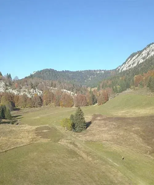 Plaine enneigée de Lans-en-Vercors - Alpes - France