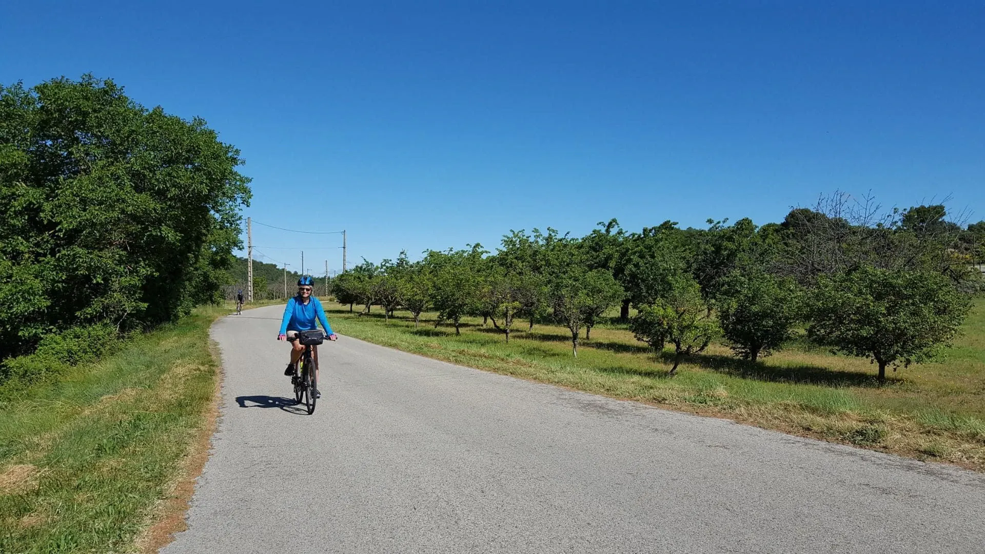 Arbres enneigés - Dolomites - Italie