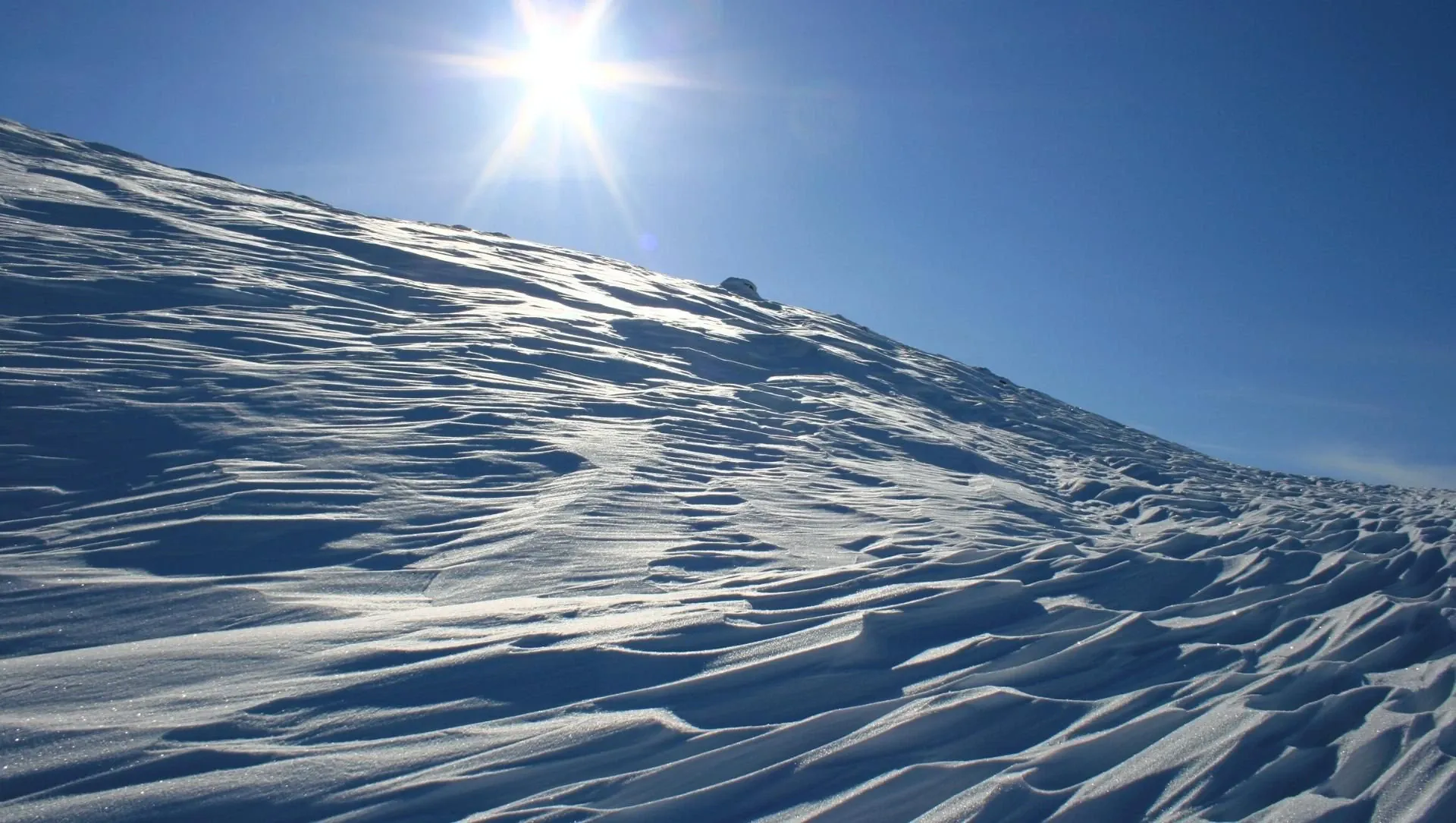 Neige Soufflee Par Le Vent En Laponie Finlandaise - Laponie - Finlande