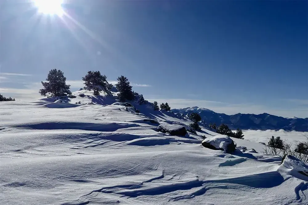 Neige Soufflee Sommet Cerdagne C Michel Madre - France © Michel Madre