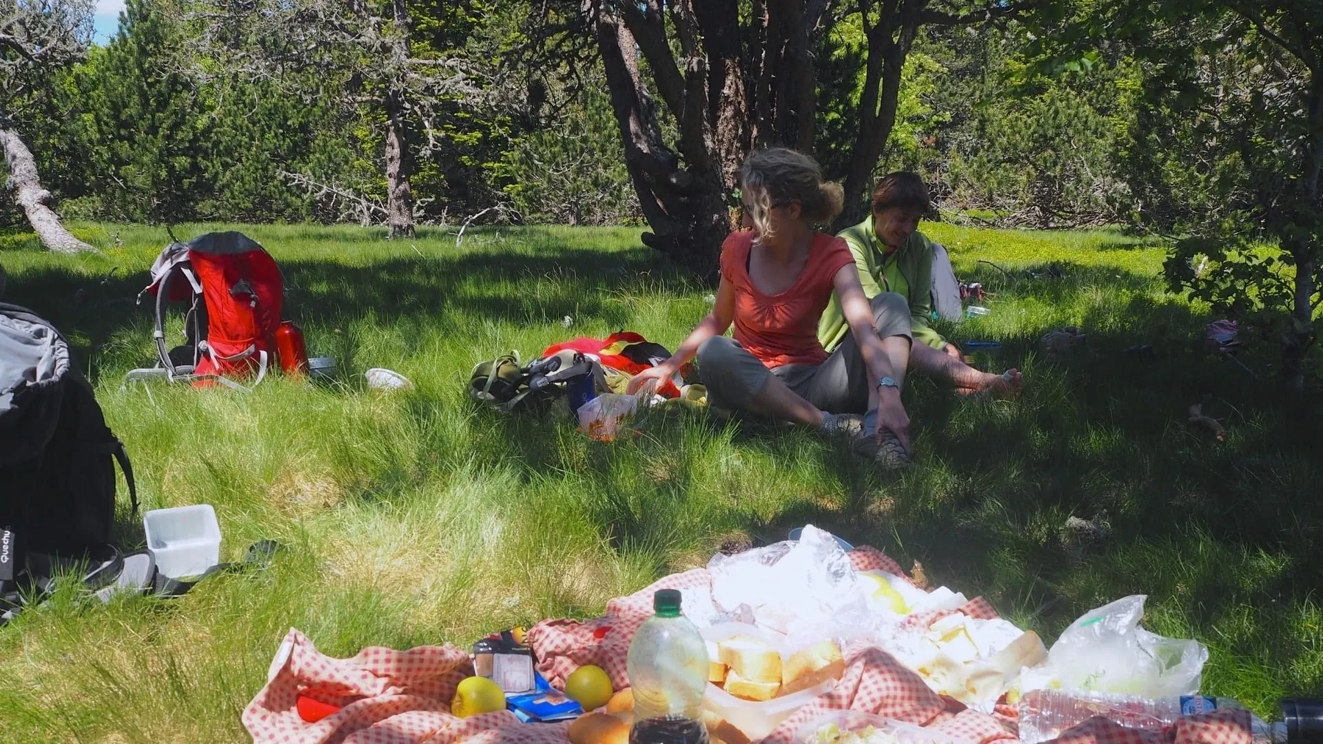 Pause raquettes sous un arbre enneigé - Laponie - Finlande