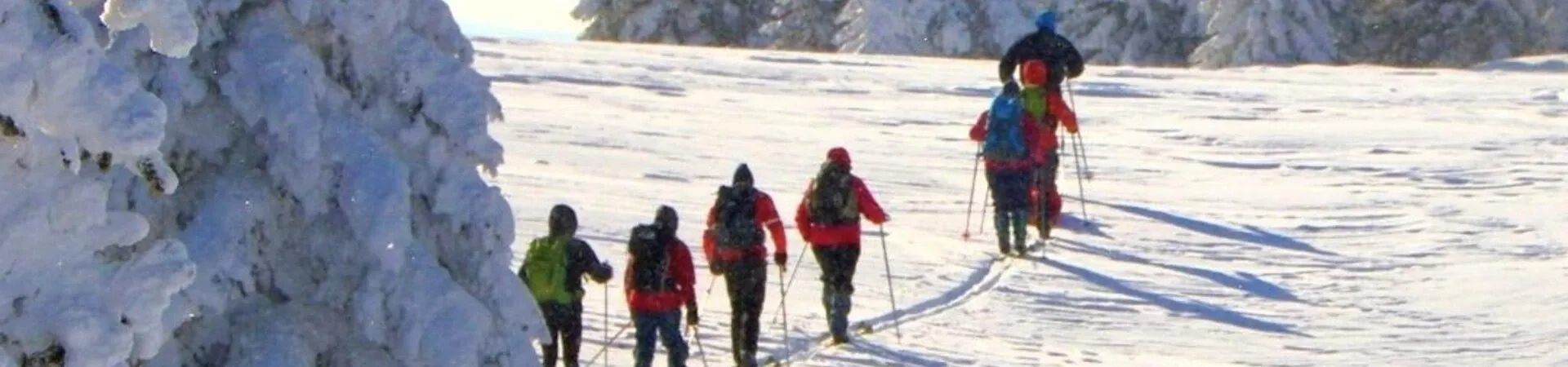 Groupe en raquettes traversant plateau enneige du Jura