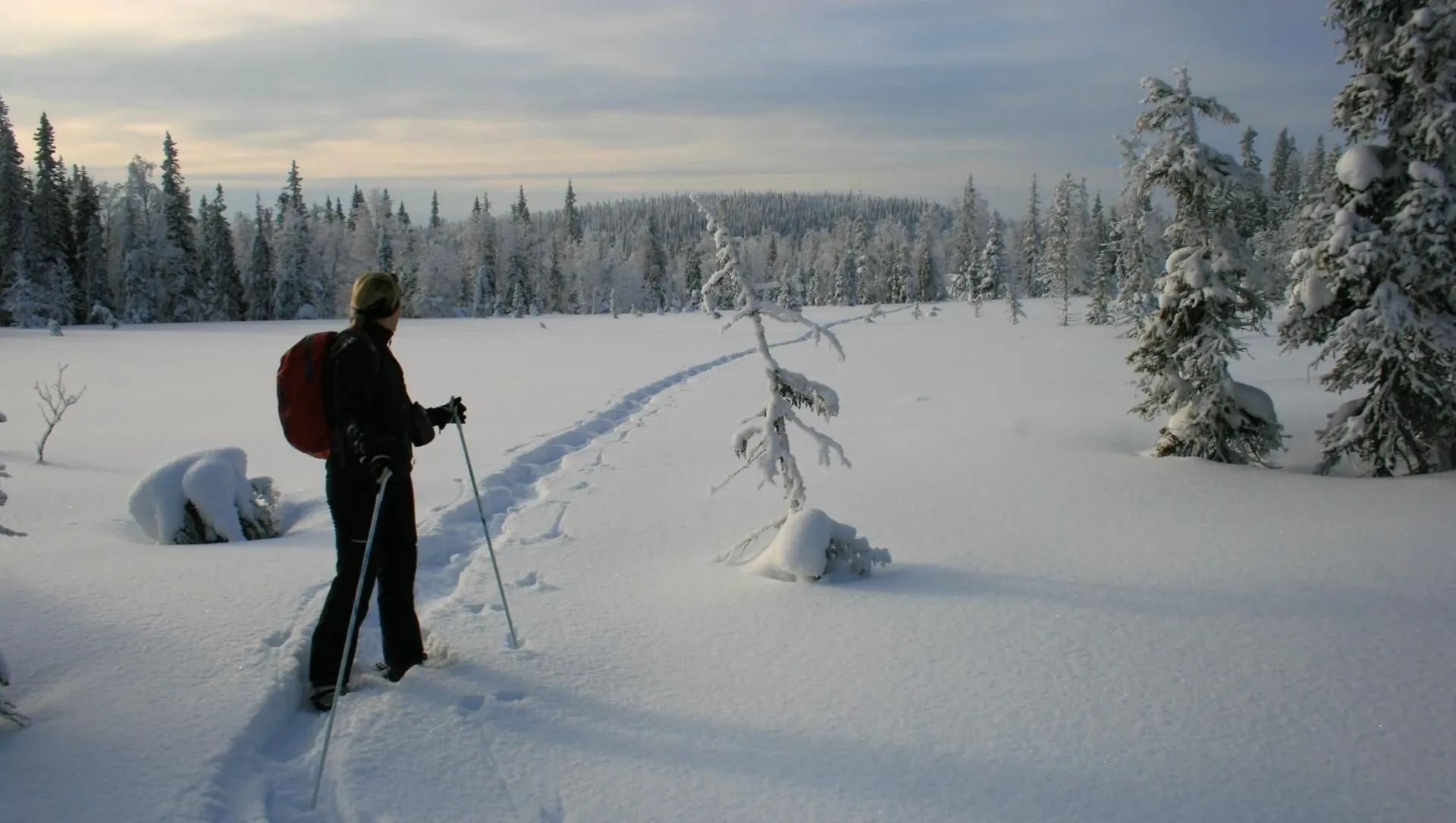Raquettes a Aletsch - Valais - Suisse © Oriane Tempe
