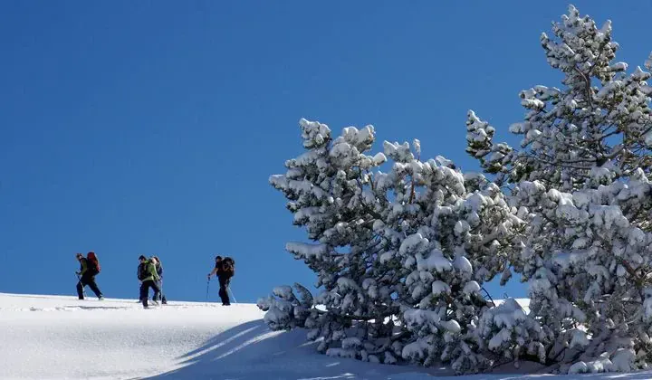 Raquettes à l'alpage de la Molière - Vercors - France - snowshoeing-at-moliere-pasture-vercors-france-3