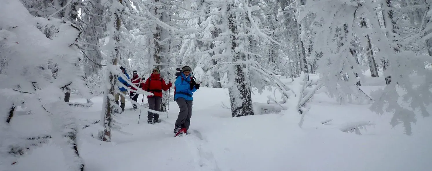 Raquettes au Moucherotte - Vercors - France