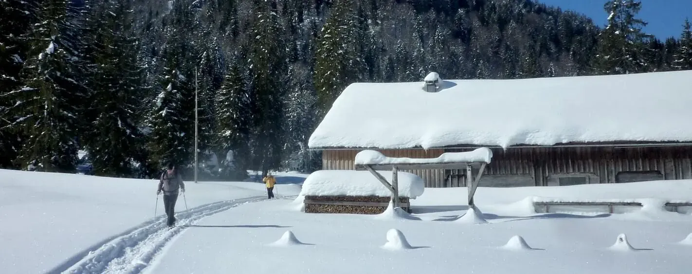 Raquettes en Bavière - Allemagne