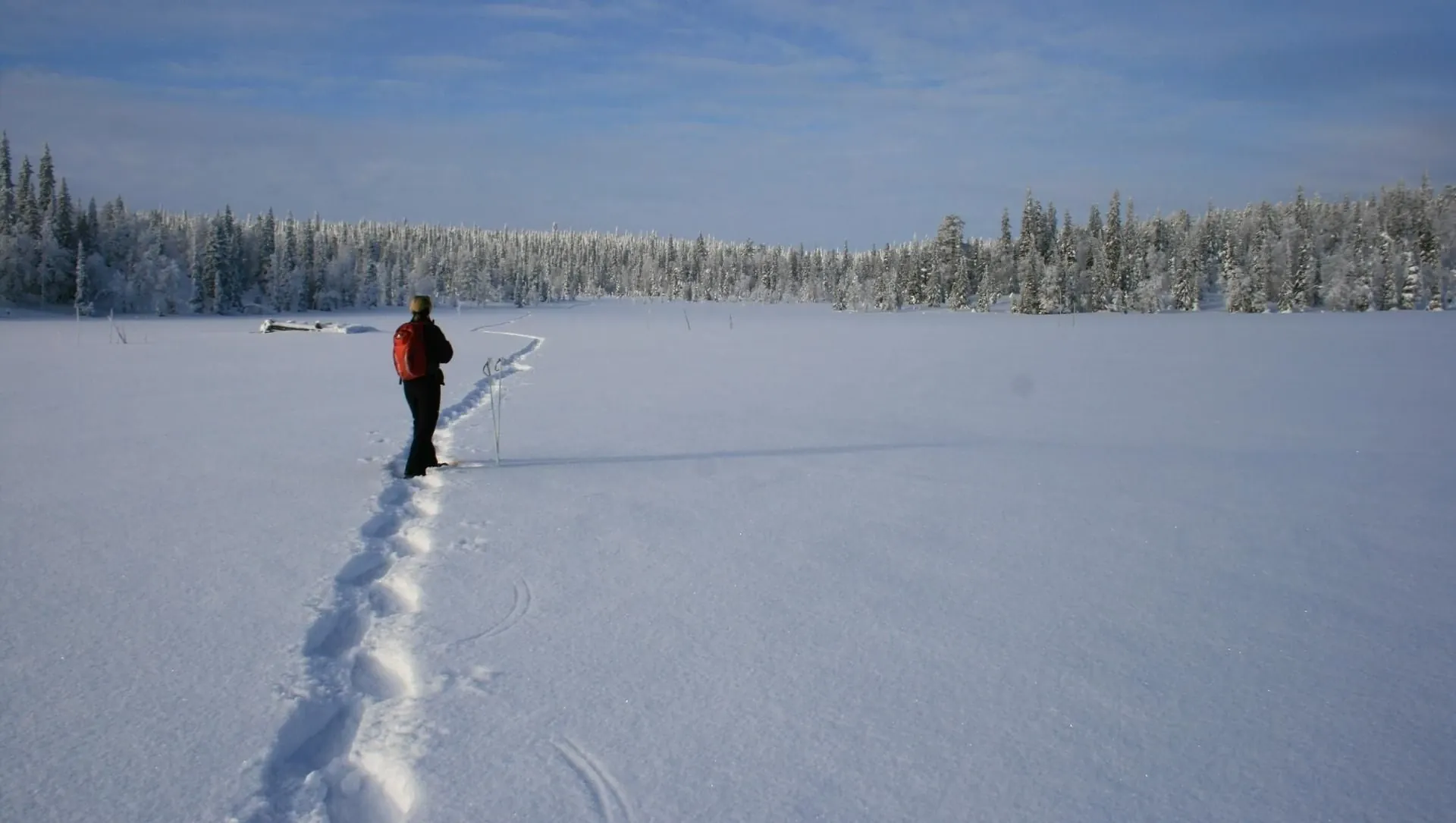 Raquettes en foret boreale - Laponie finlandaise - Finlande