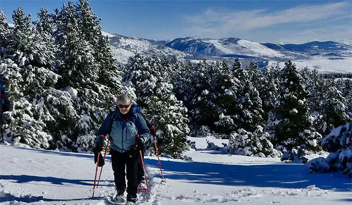 Raquettes à neige en Cerdagne - Pyrénées-Orientales - France