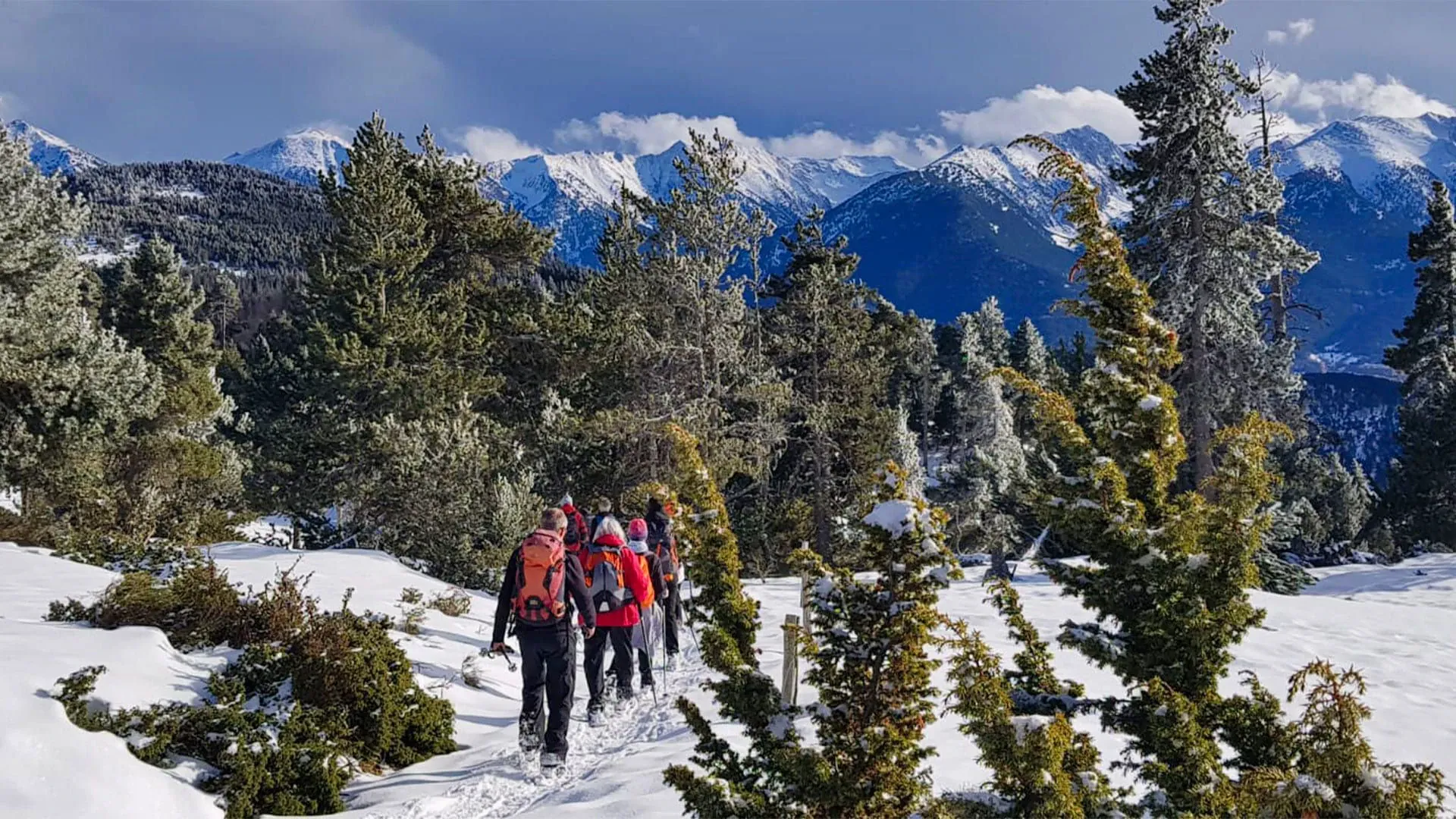 Raquettes en Chartreuse - Alpes - France - snowshoeing-in-chartreuse-alps-france-2