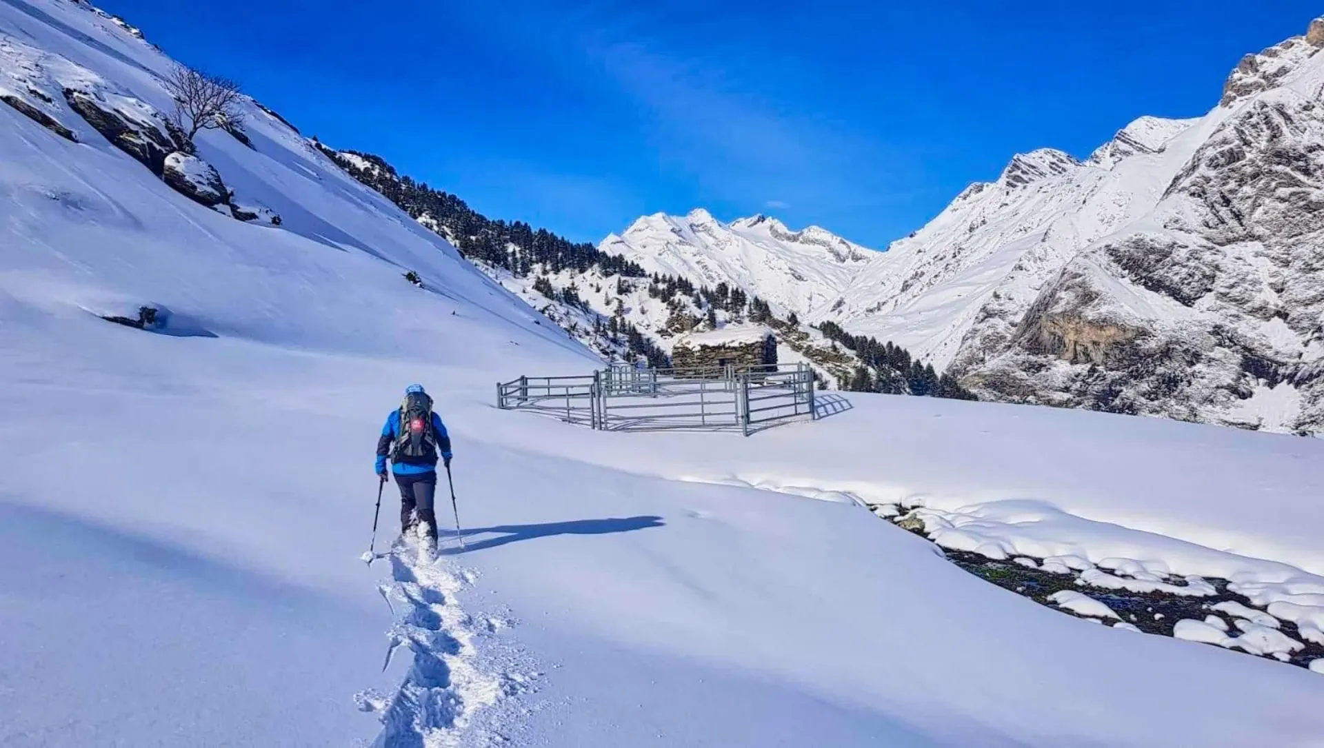 Raquettes en Laponie finlandaise - Finlande