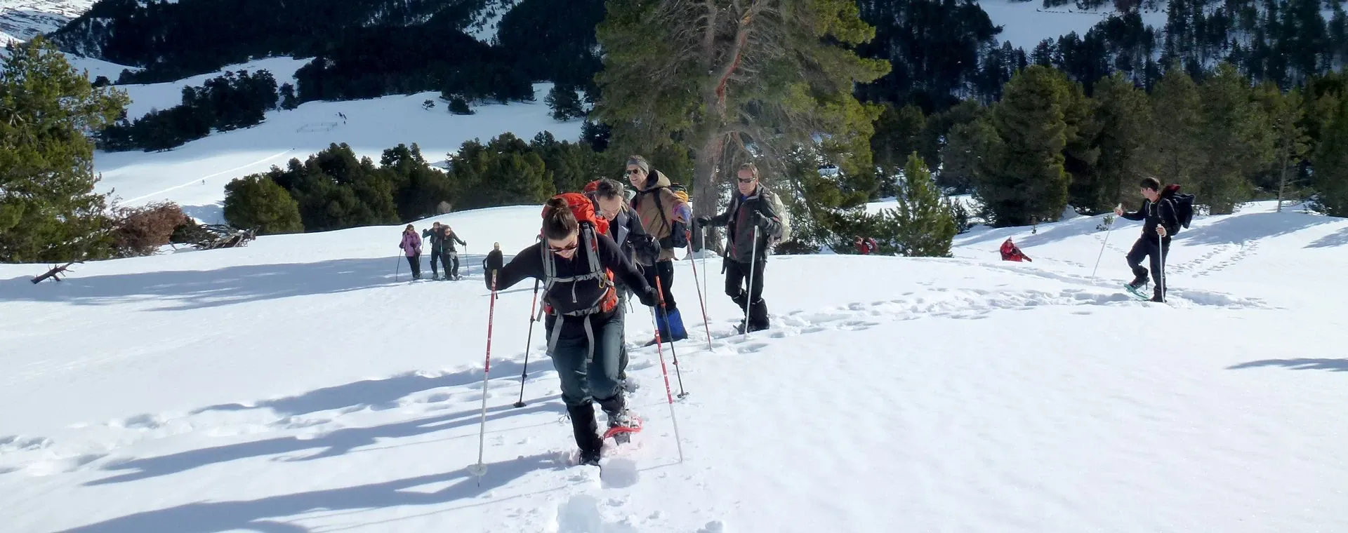 Raquettes en sous-bois en Forêt-Noire - Allemagne