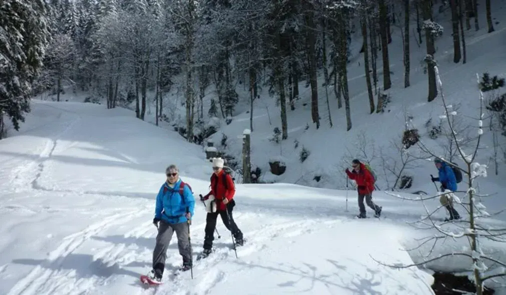 Raquettes dans les Écrins - Alpes - France - snowshoeing-in-the-ecrins-alps-france-7