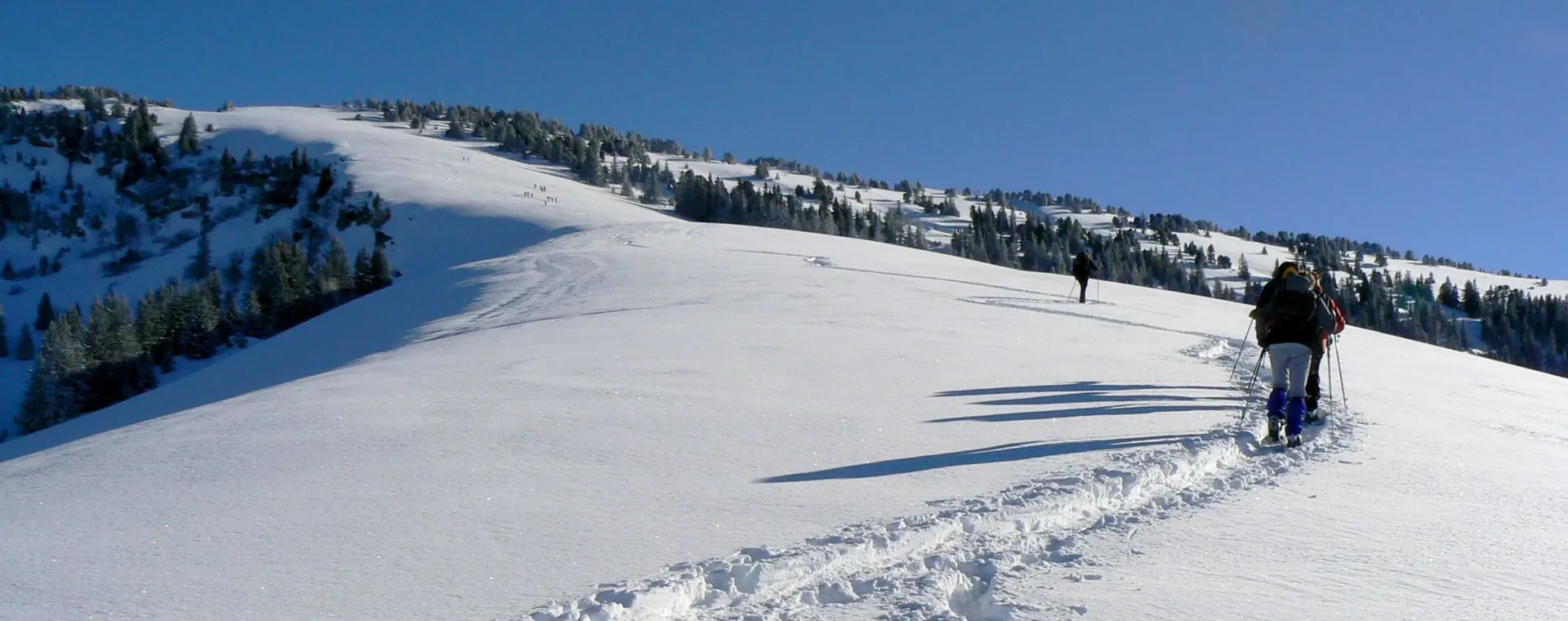 Raquettes dans le Jura franco-suisse - France - Suisse
