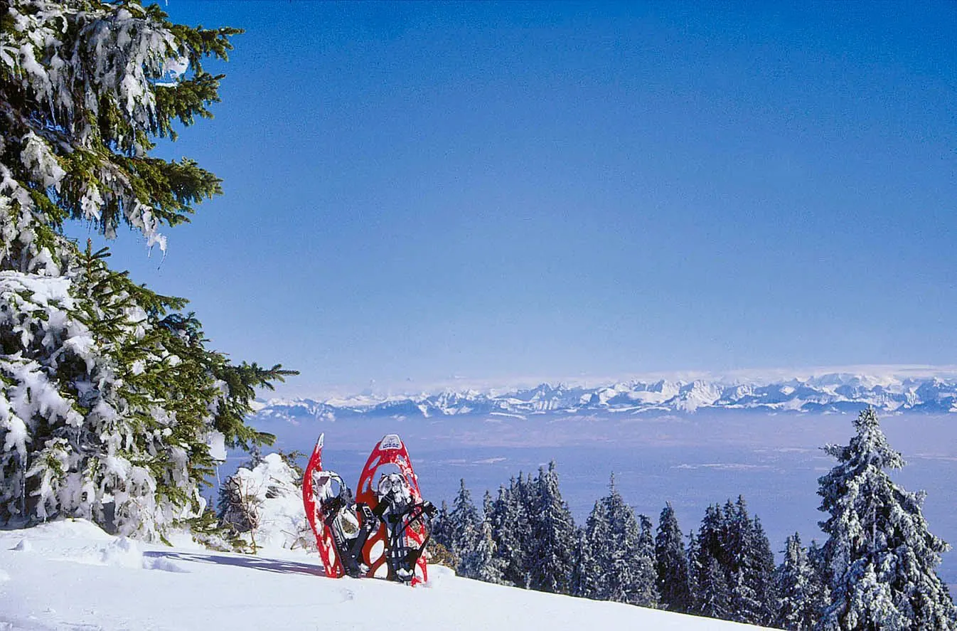 Randonnée en raquettes dans le Jura - France