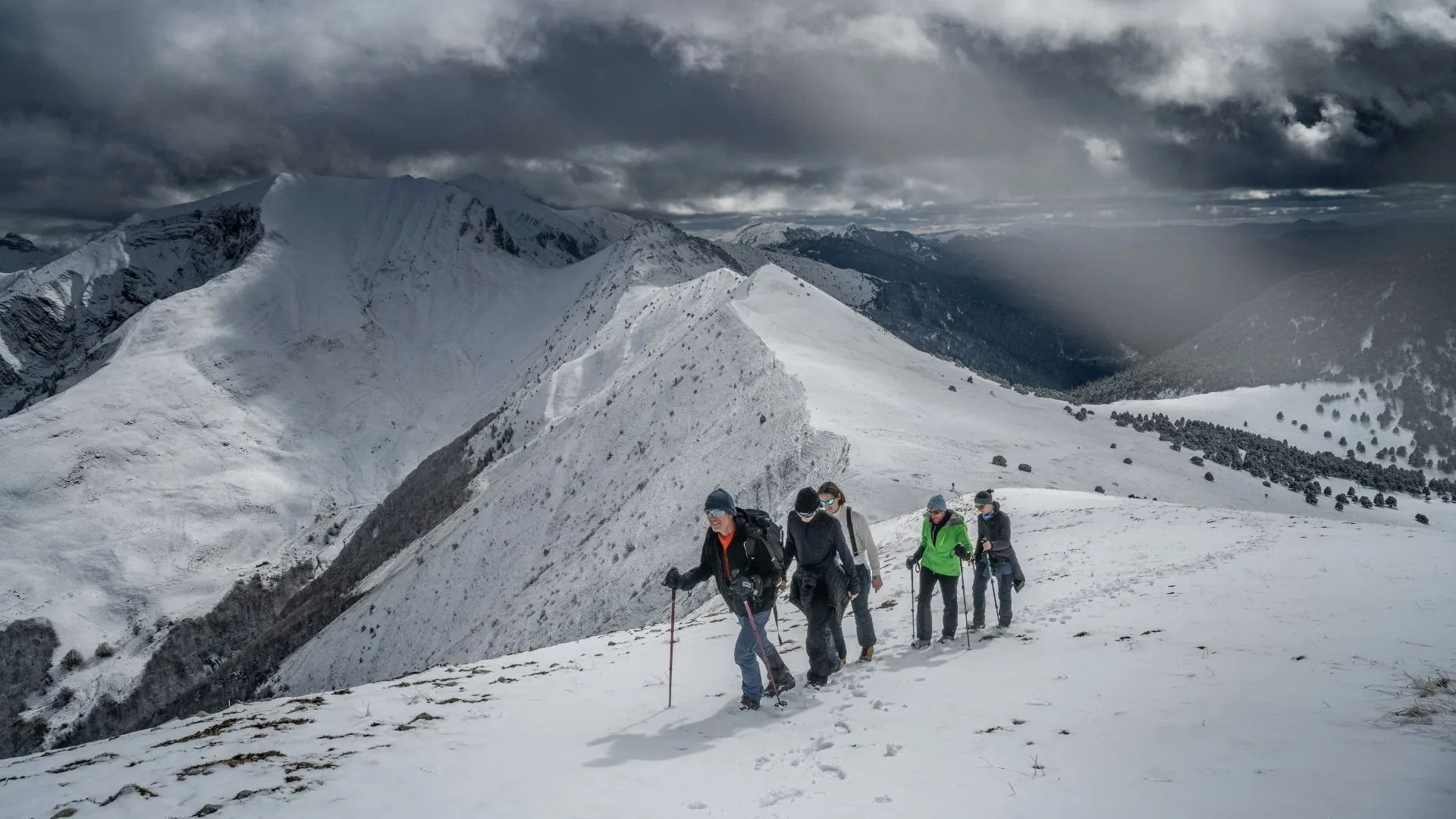 Raquettes dans la forêt de la Vallée des Loups - Vercors