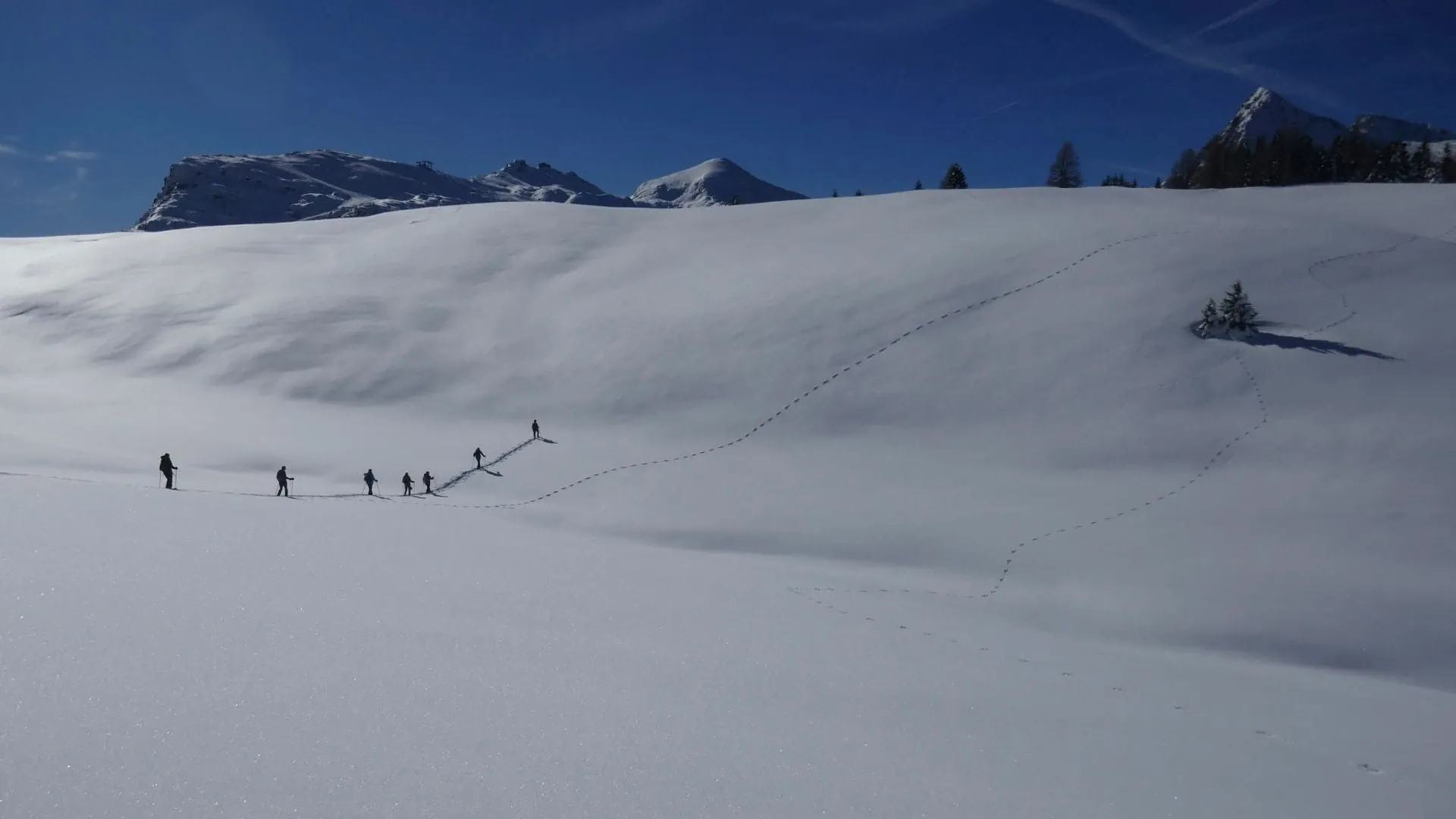 Raquettes sur le fjell a Finse - Norvege