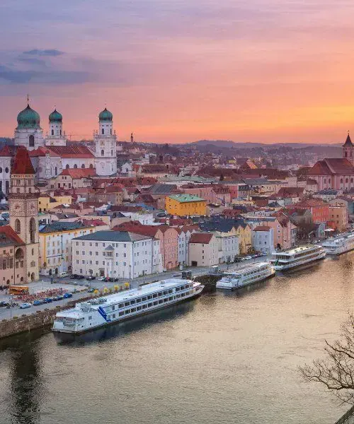 Raquettes sous un arbre enneigé - Laponie - Finlande