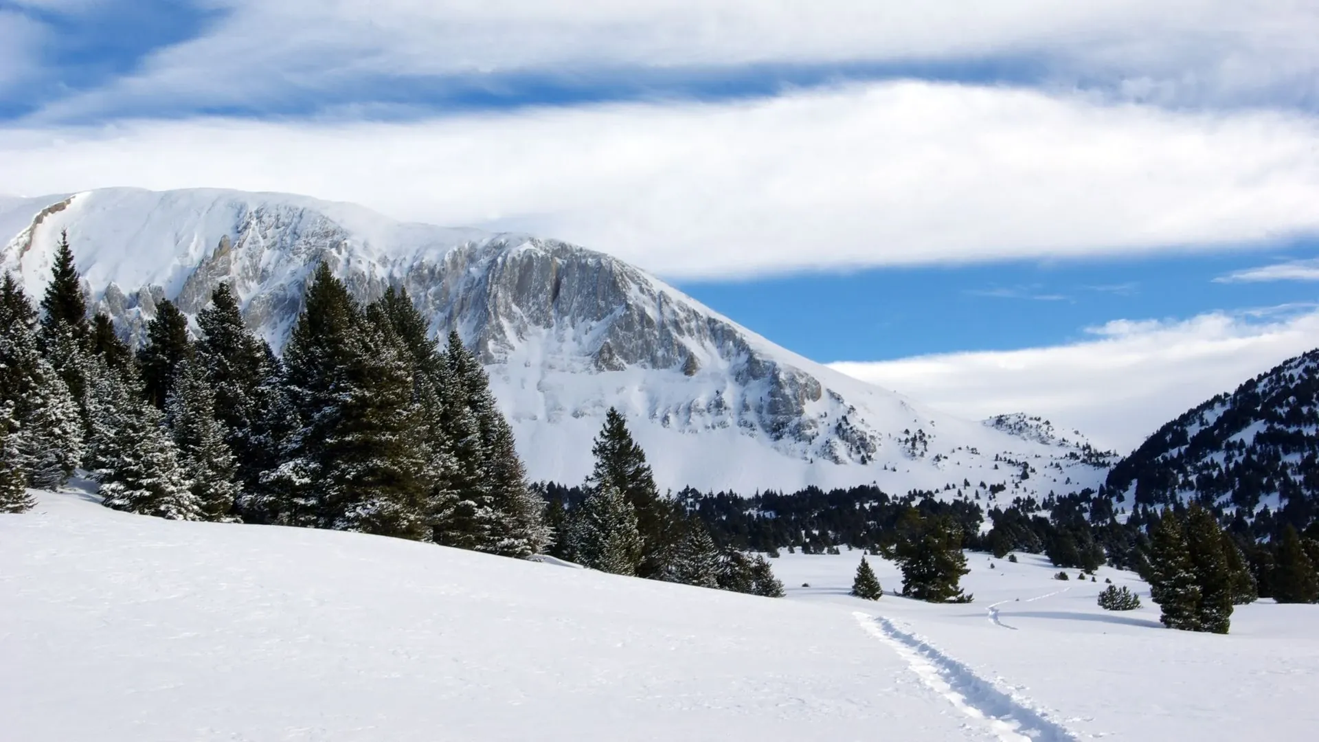 Randonneurs en raquettes dans la forêt enneigée - Vercors