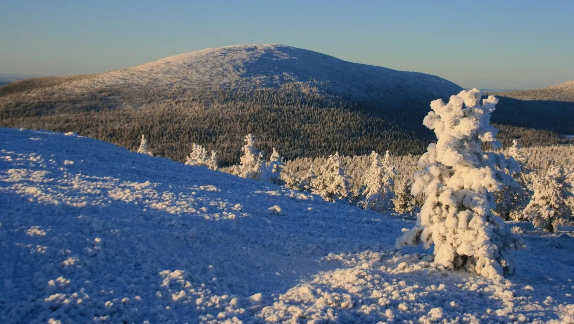Paysage enneigé de la Forêt-Noire © Schwarzwald Tourismus