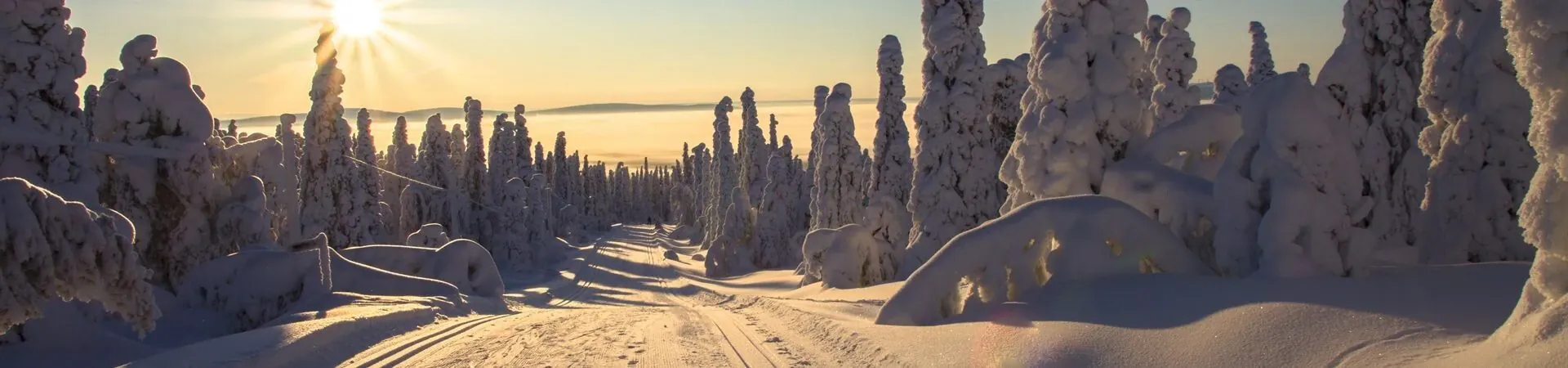 Voyage Ski de Fond et ski de rando nordique en Laponie en 2026