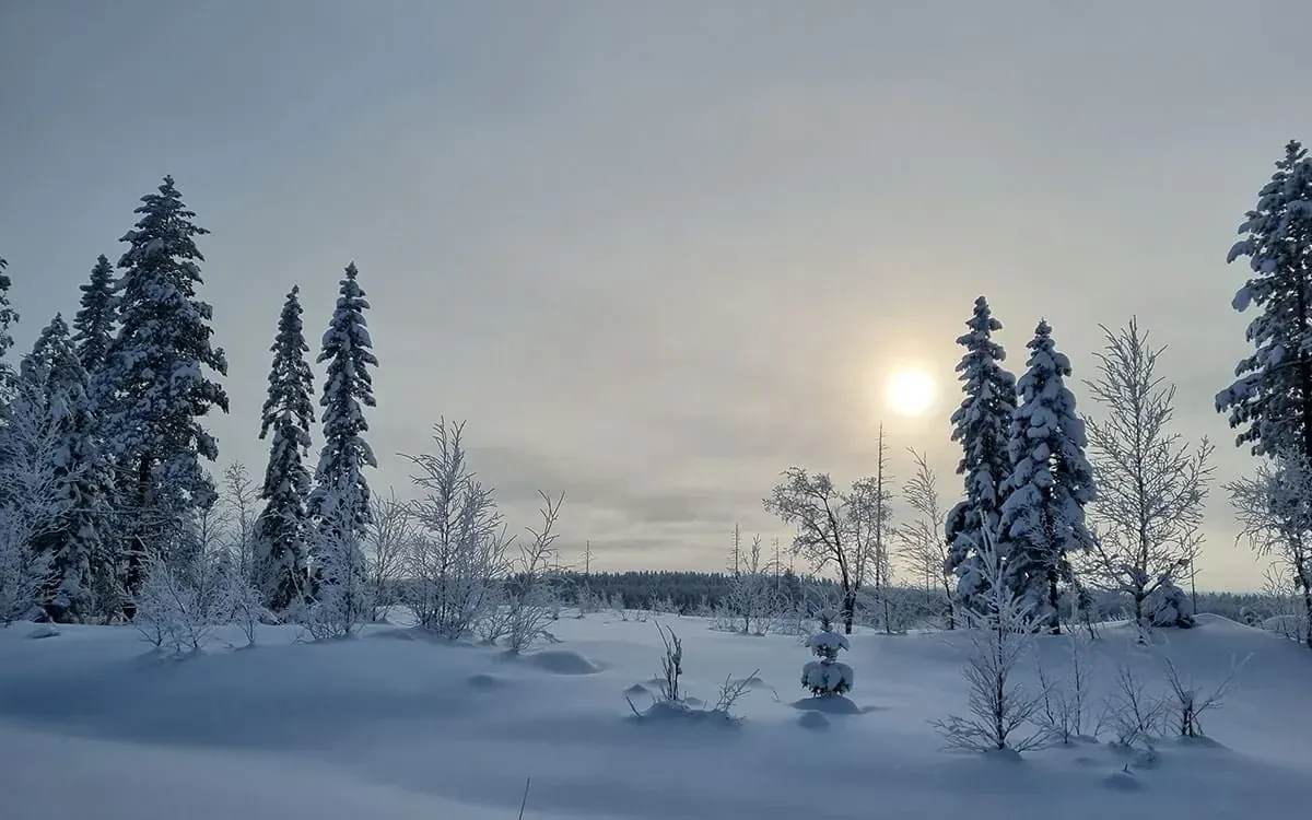 1 semaine de ski de fond à l'est de la Finlande | Grand Angle