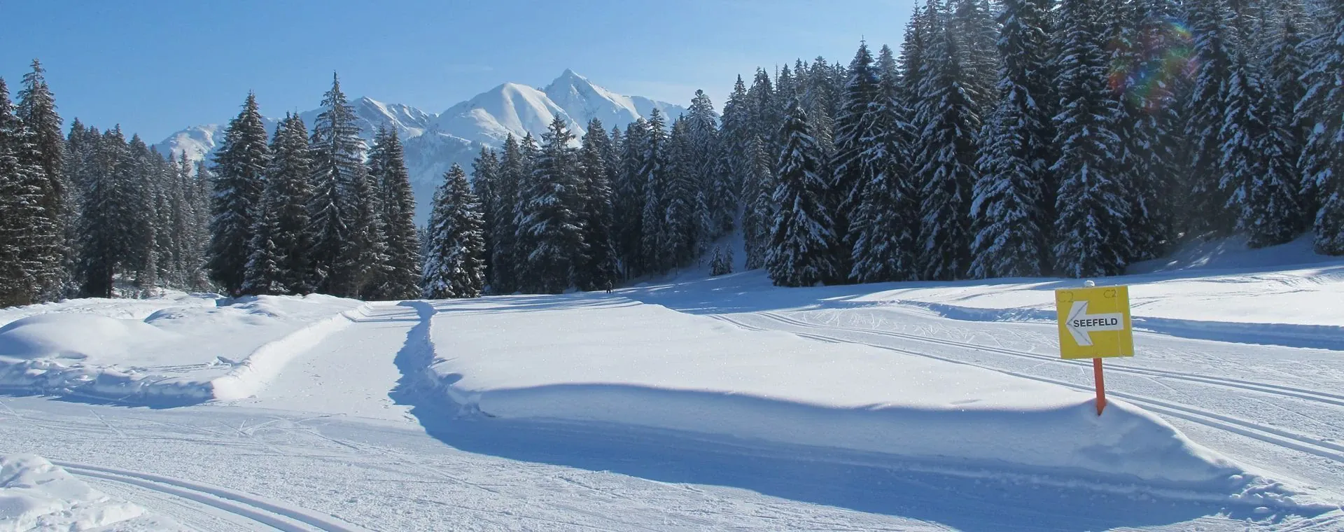 Paysage enneigé du Bregenzerwald - Autriche