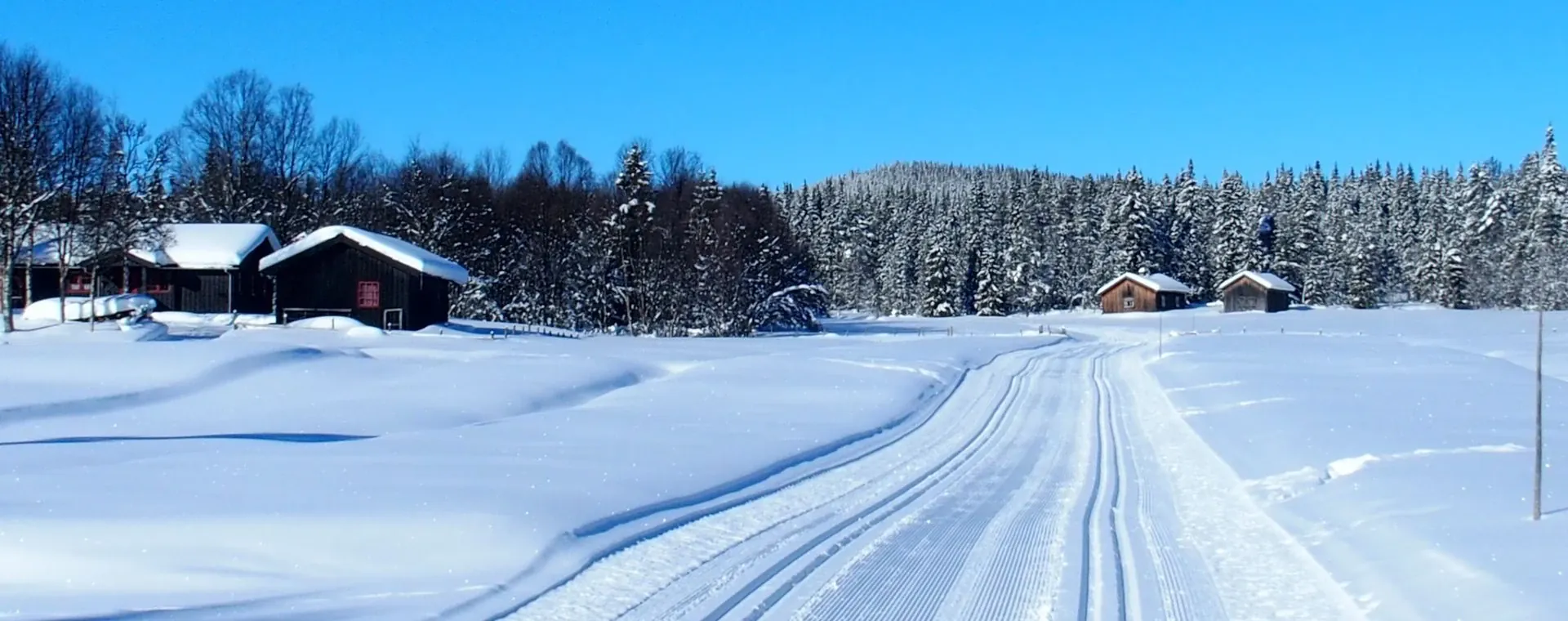 Paysage enneigé des Dolomites - Italie