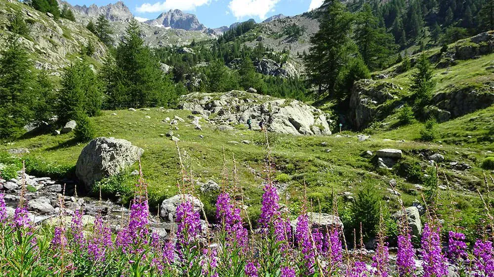 Paysage enneigé de Laponie - Finlande