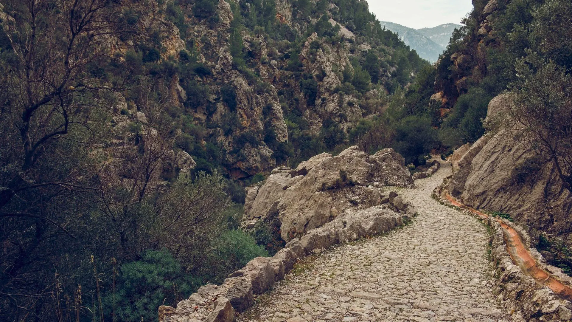 Port de Soller avec bateaux de pêche - Majorque - Espagne