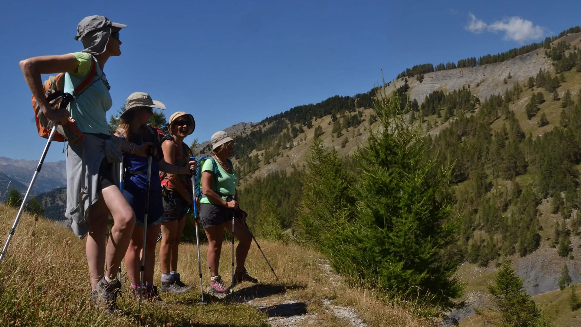 Sous Le Col Des Champs Ccoraliefreckmanngueye - France