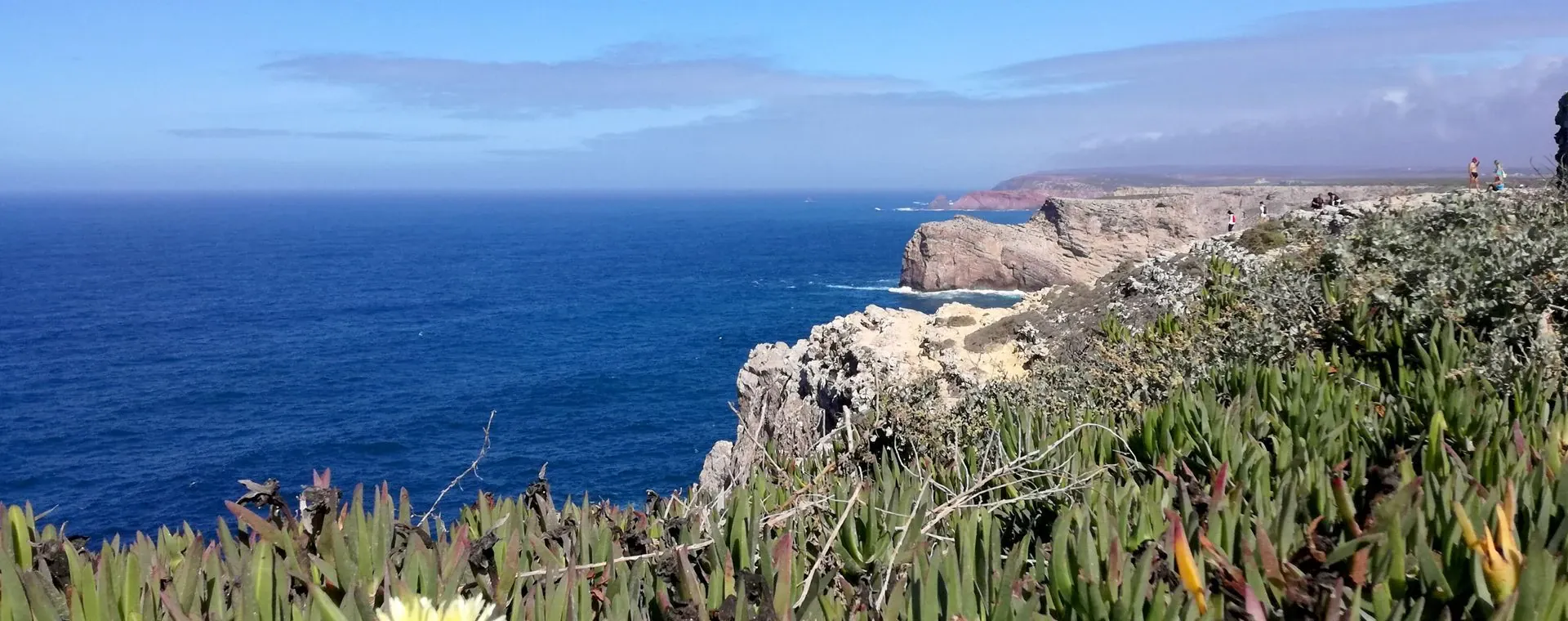 Paysage printanier de Corfou - Grèce
