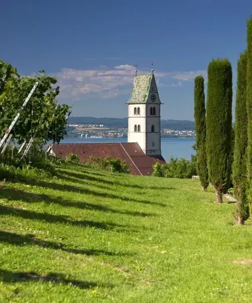 Cathédrale Saint-Étienne et vieille ville - Mayence - Allemagne