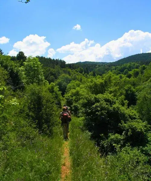 Chemin de Stevenson - Cévennes - France