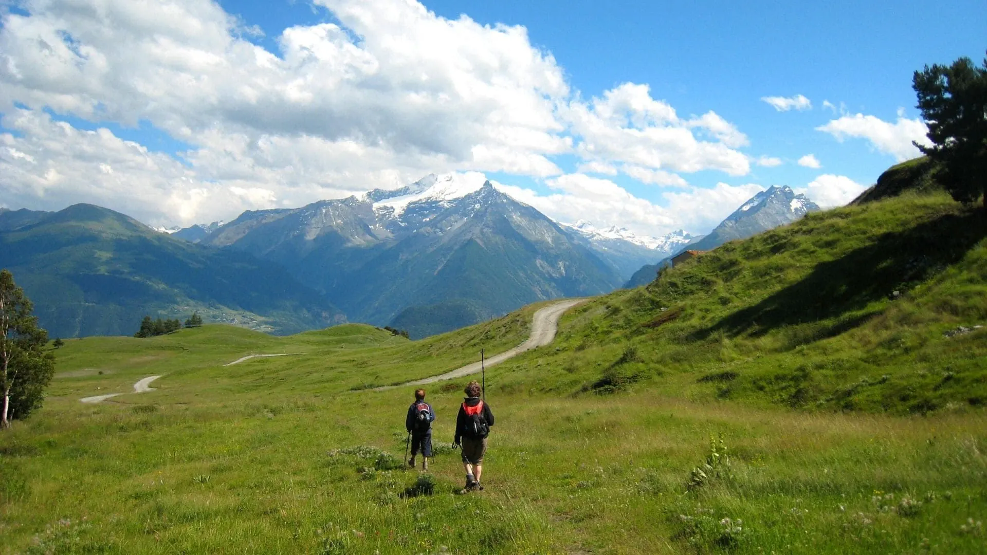 Chemin de pierres dans la vallée du Douro - Portugal © Authentic Trails