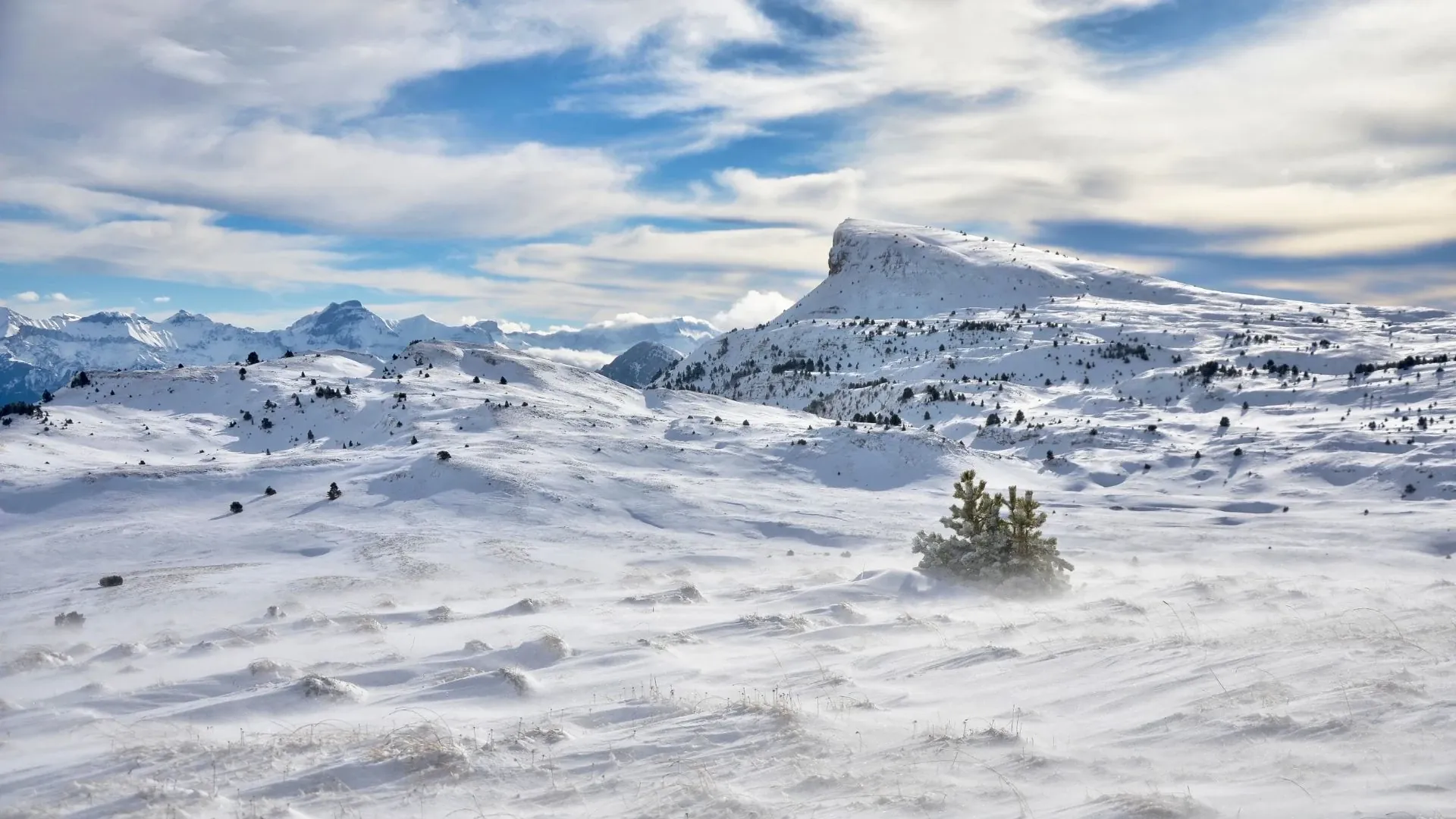 Sommet De La Montagnette Depuis Les Jardins Du Roi Cm. Offredi - France