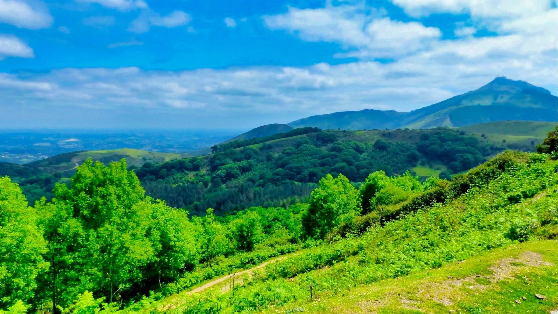 Sommet De La Rhune Sur Le Gr10 Dhendaye A Saint Jean Pied De Port C Respyrenees - Pyrénées - France