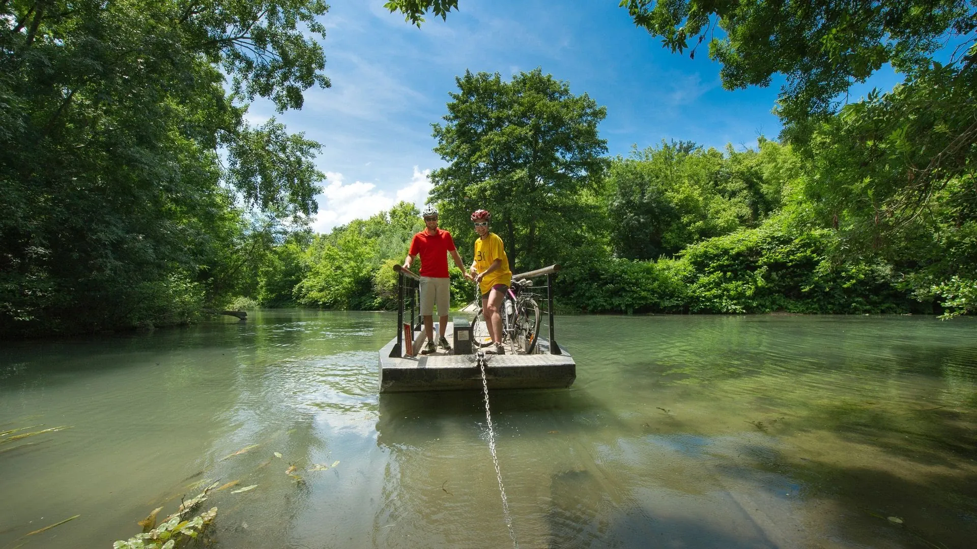 Champs de tournesols sur la ViaRhôna - Drôme - France