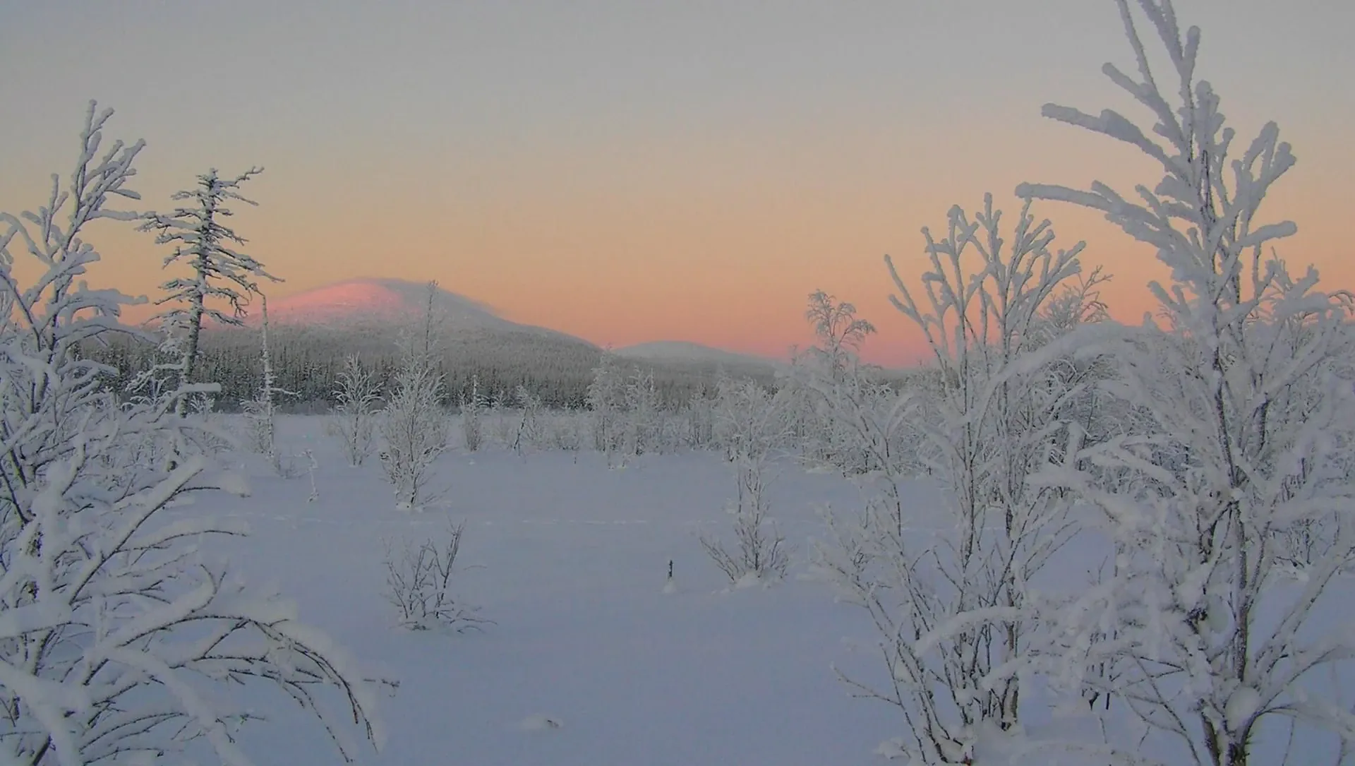 Lever De Soleil Sur Un Paysage Lapon Enneige - Finlande