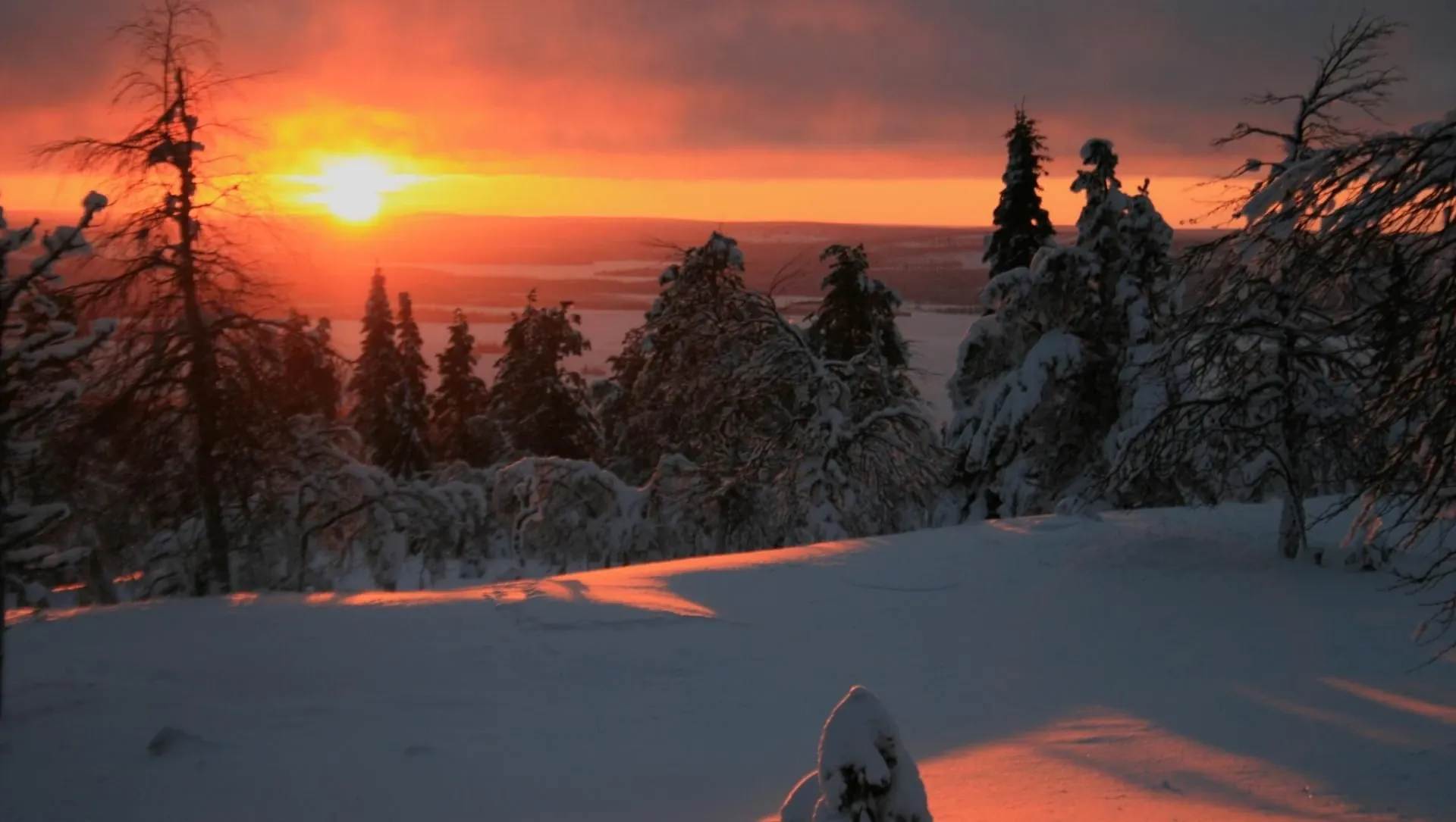 Coucher De Soleil Sur La Neige Finlandaise - Finlande