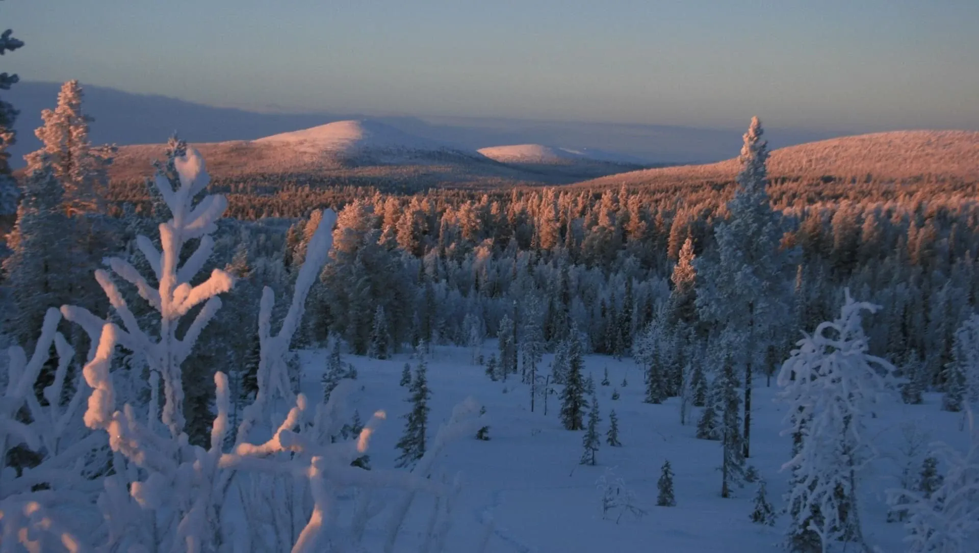 Coucher De Soleil Sur Un Paysage Lapon En Hiver - Finlande - sunset-de-sun-sur-un-landscape-lapon-en-hiver-finland-2