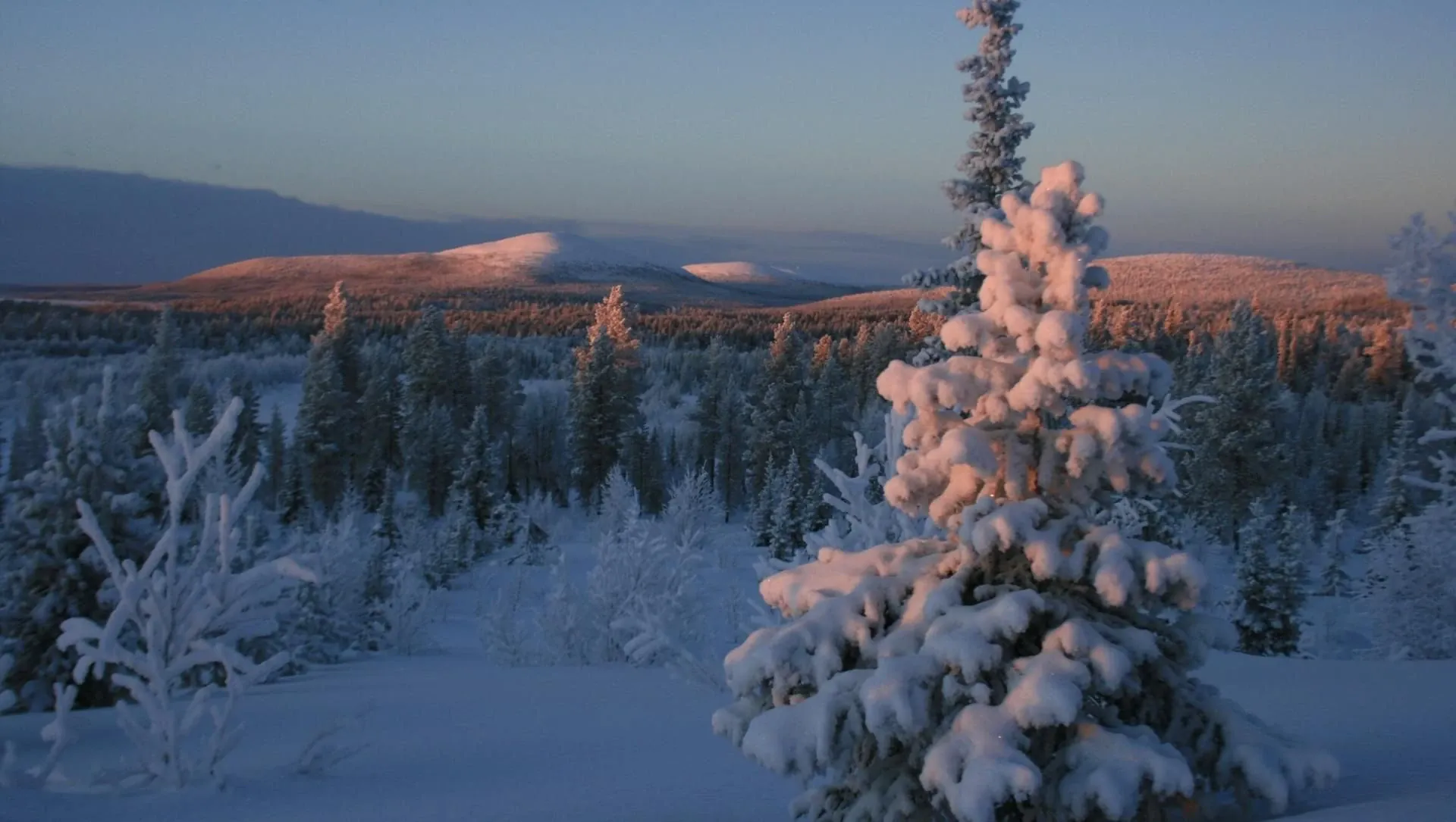Coucher De Soleil Sur Un Paysage Lapon En Hiver - Finlande
