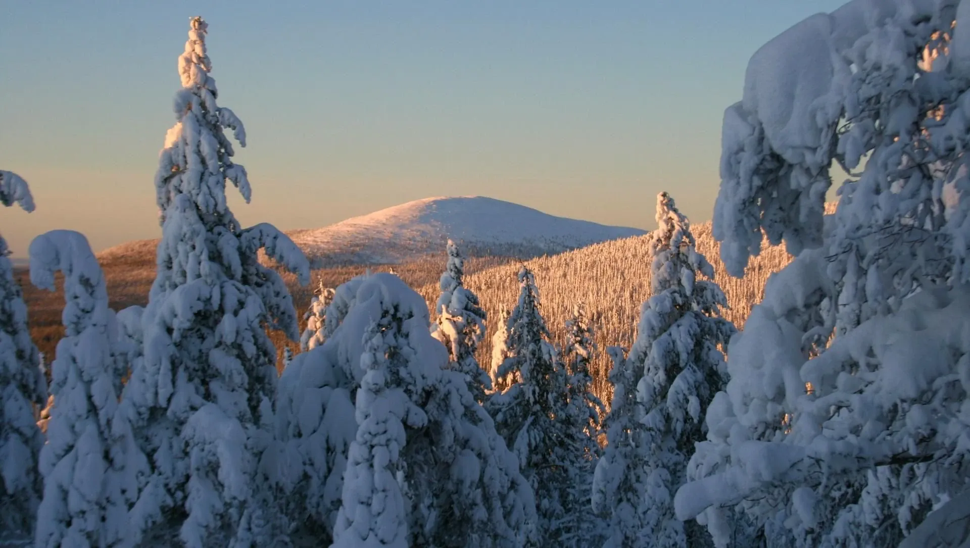 Coucher De Soleil Sur Une Foret Boreale En Hiver Dans La Taiga Finlandaise - Finlande
