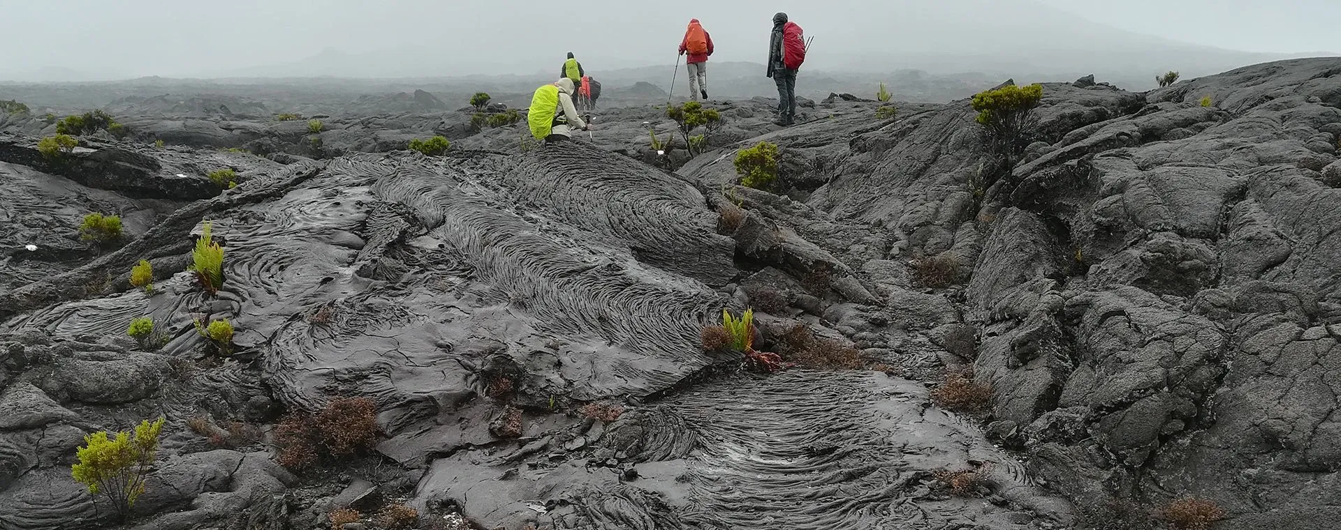Sur Le Champ De Lave De L Enclos Fouque - Île de la Réunion