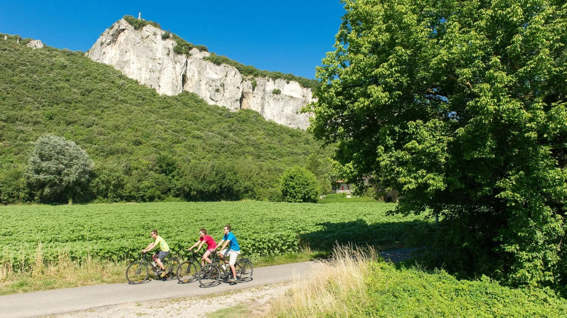 Pont suspendu sur le Rhône - ViaRhôna - France